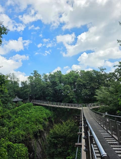 도덕산공원 산책길 사진 6