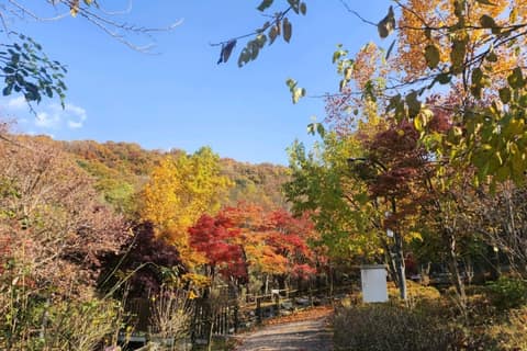 도덕산공원 산책길 사진 10