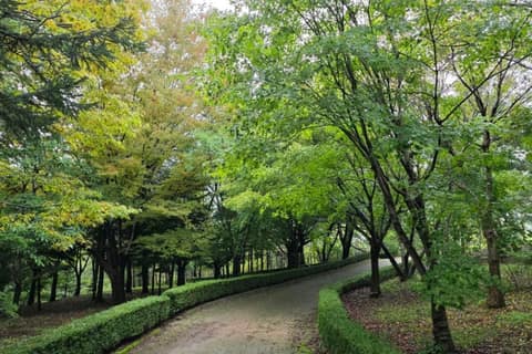 경상북도수목원 숲길 사진 1
