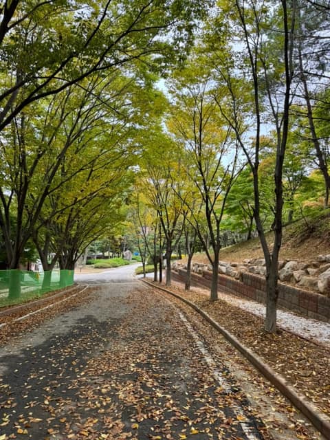 경상북도수목원 숲길 사진 6