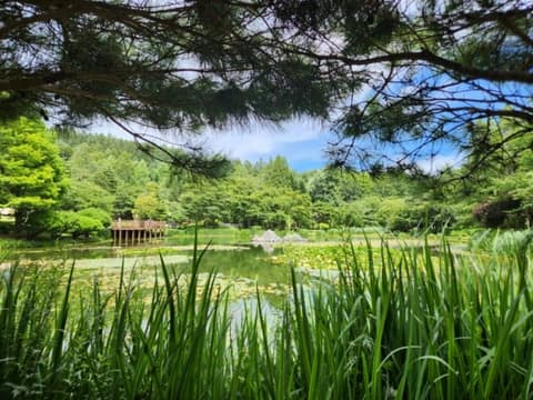 경상북도수목원 숲길 사진 9