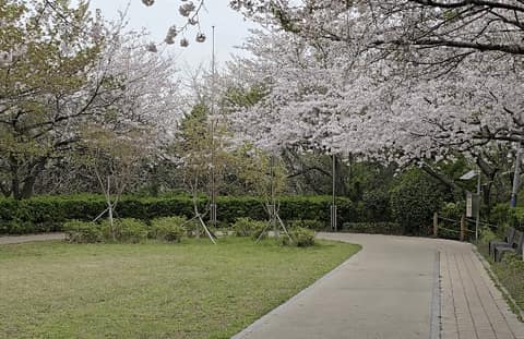 우룡산공원 산책길 사진 1