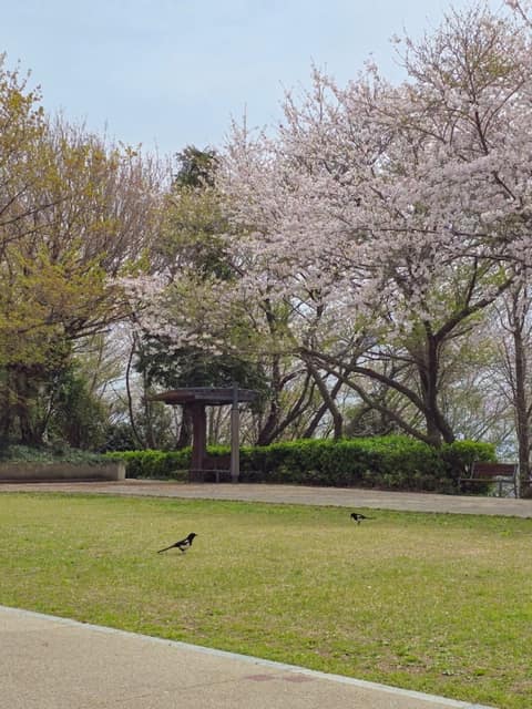 우룡산공원 산책길 사진 2