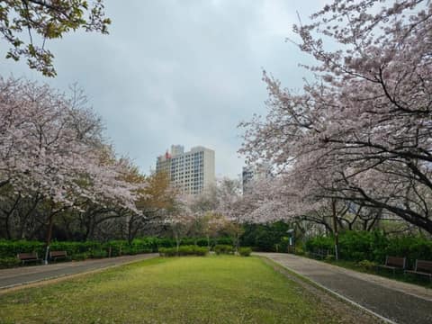 우룡산공원 산책길 사진 3