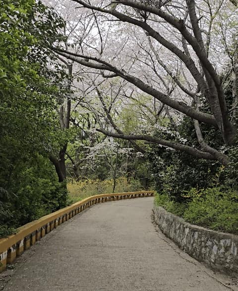 우룡산공원 산책길 사진 5