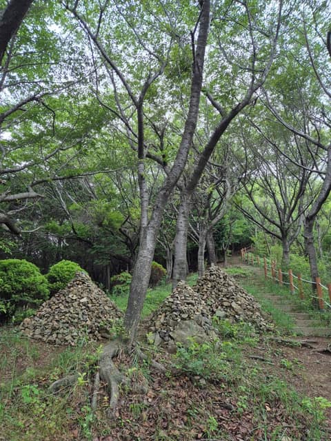 우룡산공원 산책길 사진 6