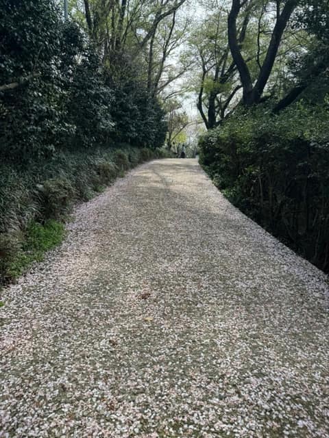 우룡산공원 산책길 사진 7
