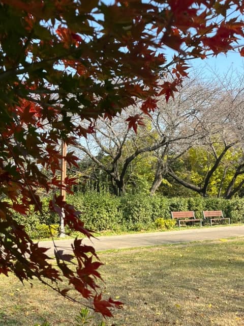 우룡산공원 산책길 사진 8
