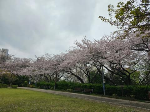 우룡산공원 산책길 사진 9