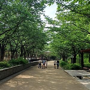 선유도공원 대표 산책길 사진 3