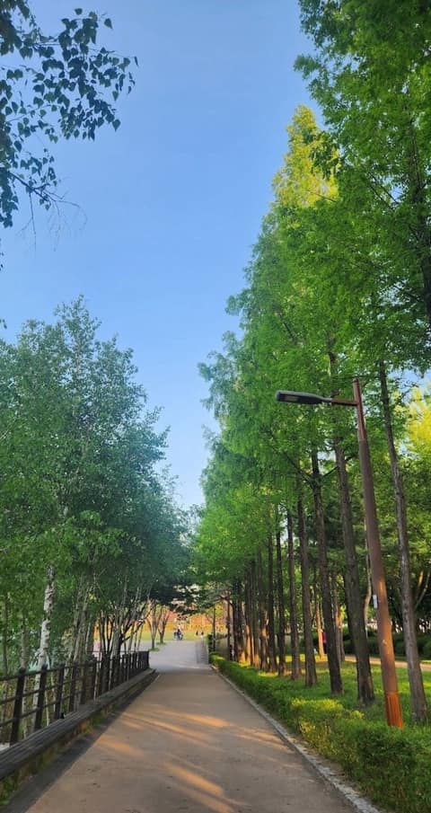 선유도공원 대표 산책길 사진 6