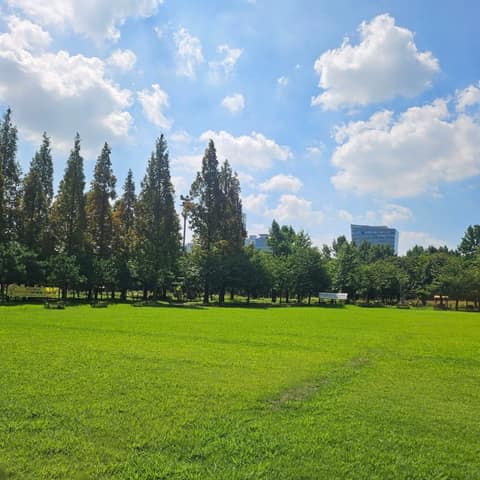해돋이-신송-새아침 산책로 사진 1