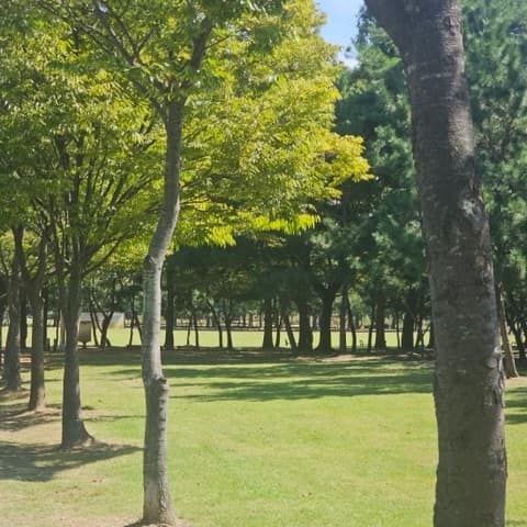 해돋이-신송-새아침 산책로 사진 2
