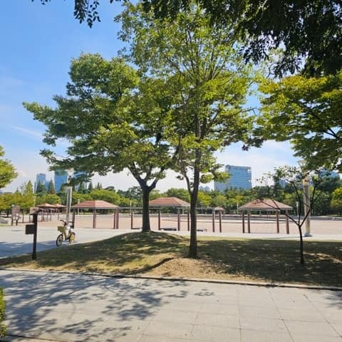 해돋이-신송-새아침 산책로 사진 5