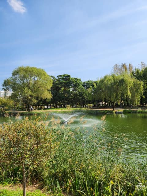해돋이-신송-새아침 산책로 사진 6