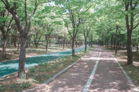 해돋이-신송-새아침 산책로 사진 7