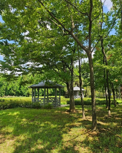 해돋이-신송-새아침 산책로 사진 8