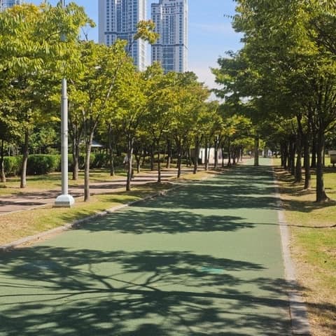 해돋이-신송-새아침 산책로 사진 10