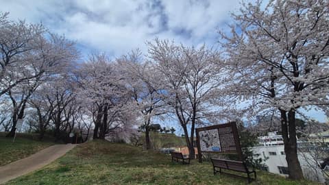 양양 현산공원 산책길 사진 1