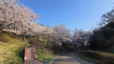 양양 현산공원 산책길 사진 10