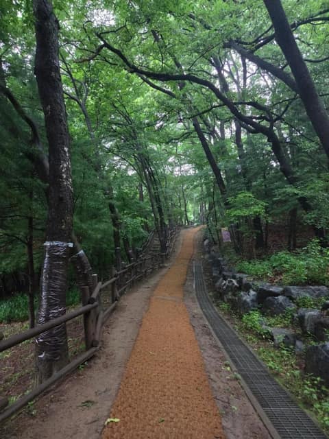 관악산 둘레길(관양고) 사진 1