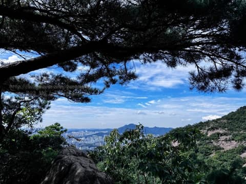 관악산 둘레길(관양고) 사진 2