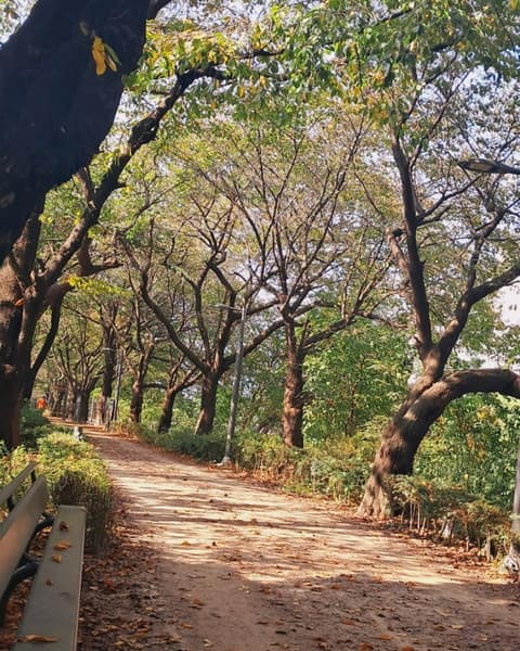 우이천 산책로 사진 1
