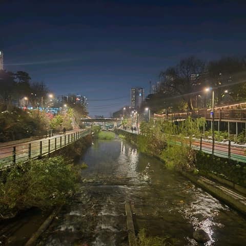 우이천 산책로 사진 6