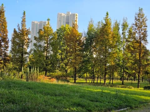 늘솔길공원 산책길 사진 1