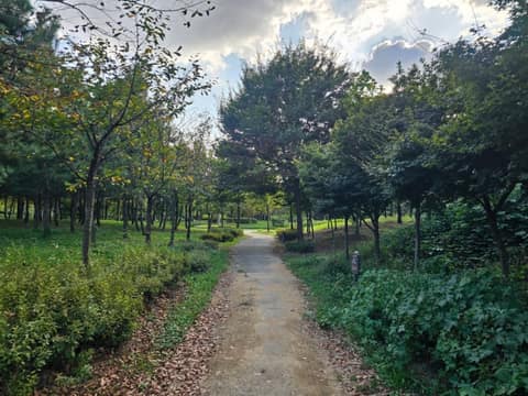 늘솔길공원 산책길 사진 2