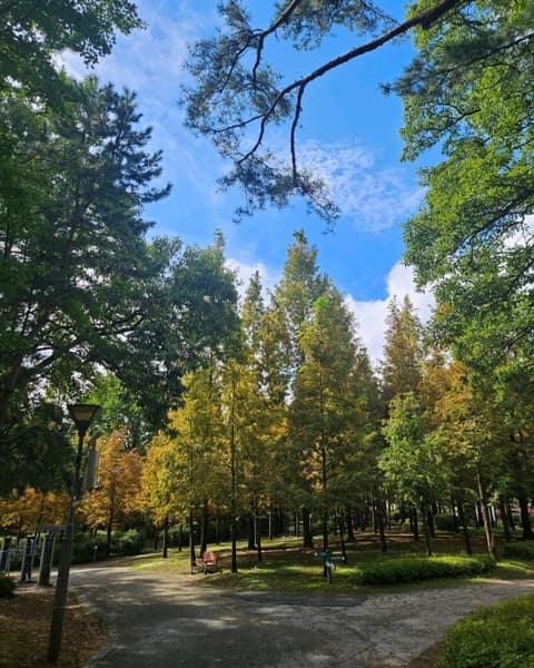 늘솔길공원 산책길 사진 4