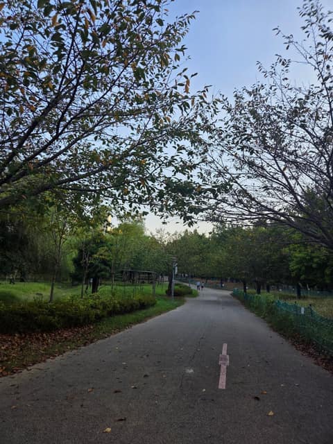늘솔길공원 산책길 사진 8