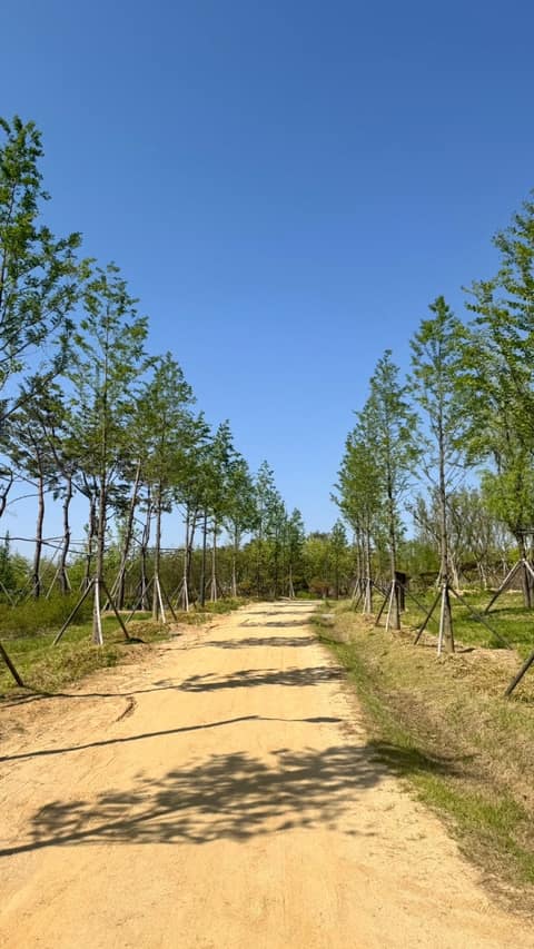 시민의 숲 맨발산책로 사진 5