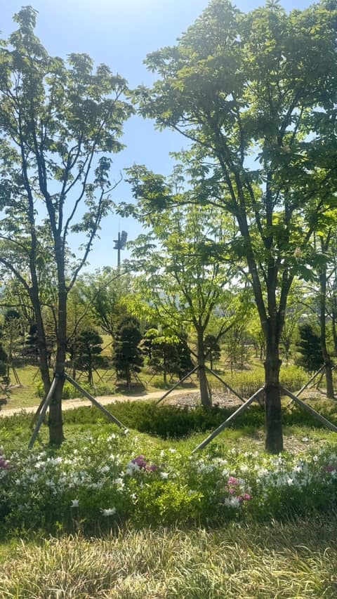시민의 숲 맨발산책로 사진 8