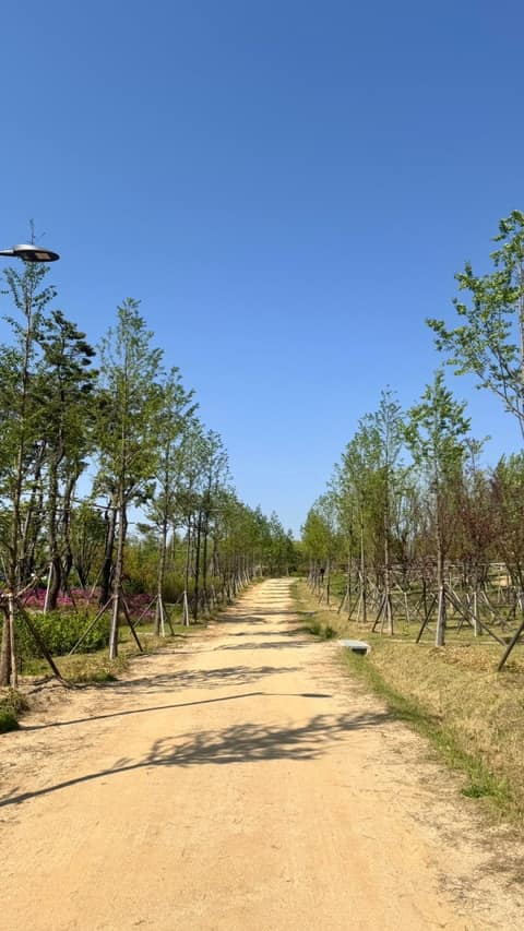 시민의 숲 맨발산책로 사진 9