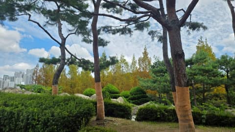 광명 스피돔 산책길 사진 1
