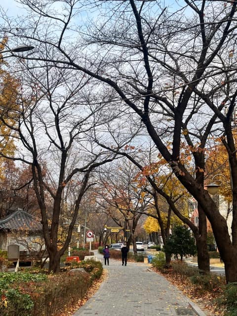 가을단풍길(홍제천로) 사진 1