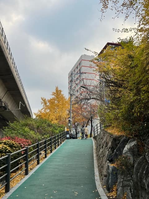가을단풍길(홍제천로) 사진 4