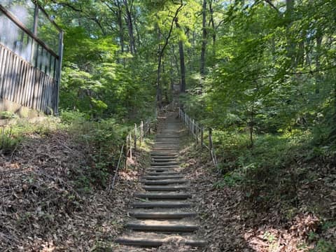 청주 삼일공원 산책길 사진 3