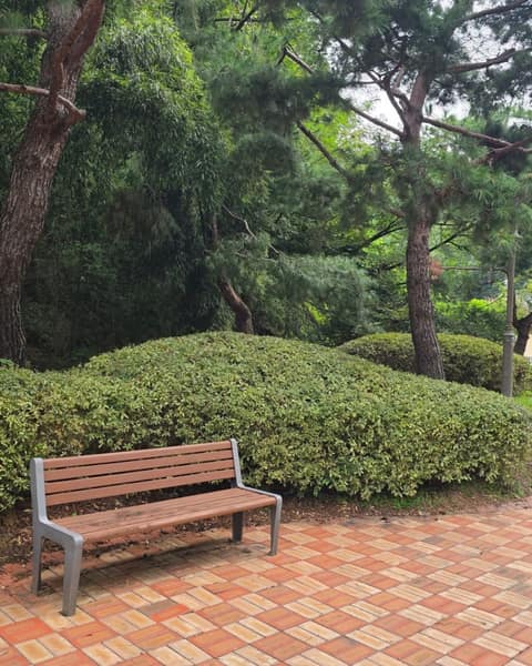 청주 삼일공원 산책길 사진 4