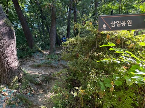 청주 삼일공원 산책길 사진 8