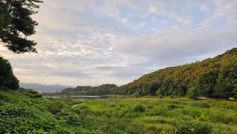 광주 중대물빛공원 산책길 사진 2