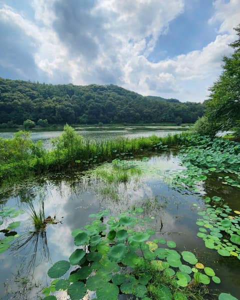 광주 중대물빛공원 산책길 사진 3