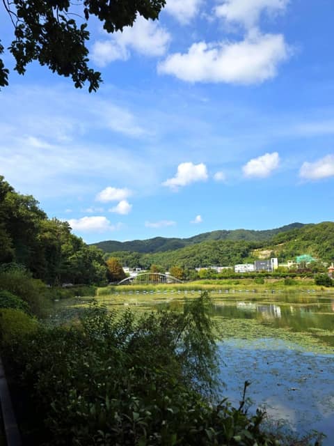 광주 중대물빛공원 산책길 사진 4