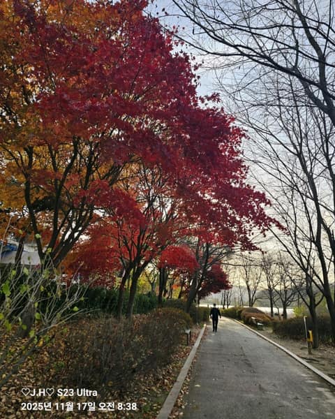 광주 중대물빛공원 산책길 사진 7