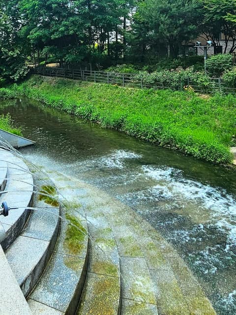 묵동천길 사진 3