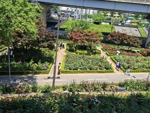 묵동천길 사진 9