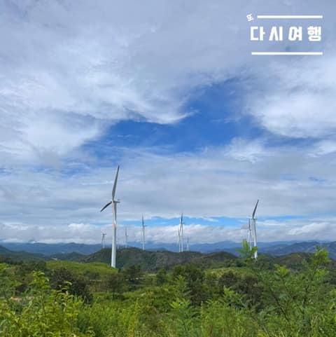 영덕 조각공원 산책길 사진 5