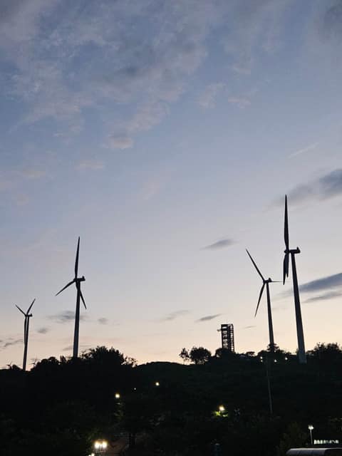 영덕 조각공원 산책길 사진 10
