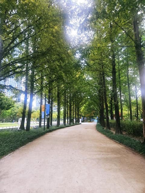 서울숲 산책길 사진 1